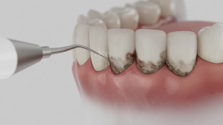 Trusted Emergency Dentist service in New Market, MD - Dentist Open Now